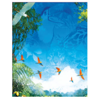 Canopy Puzzle (1000)