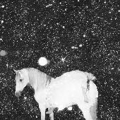 Apocalypse Love (LP)