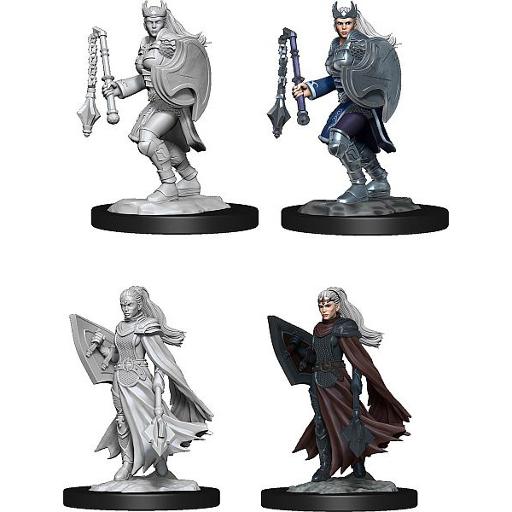 D&amp;D Nolzurs Marvelous Miniatures W14 Kalashtar Cleric Female