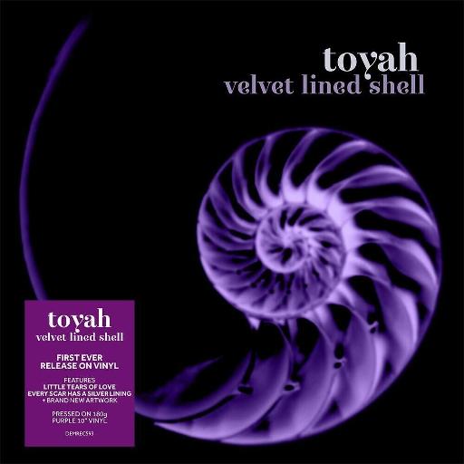 Velvet Lined Shell (10" Purple)