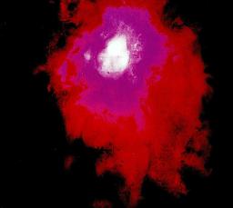 [TRANSM172LP] Up The Downstair (2LP)