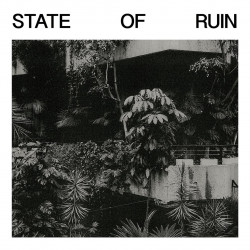 [ZIQ402CD] State Of Ruin (CD)