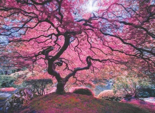 [8698543110373] Pink Tree (1000pc)