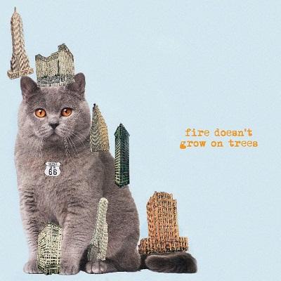 [AUK049CD] Fire Doesn’t Grow On Trees (CD)