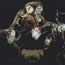 [DDR303LP] Sparagmos (Gold/ Black Galaxy Vinyl)