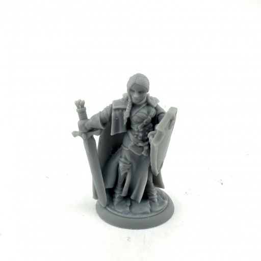 [RPR07129] Dungeon Dwellers Bones Isabeau Laroche Female Paladin