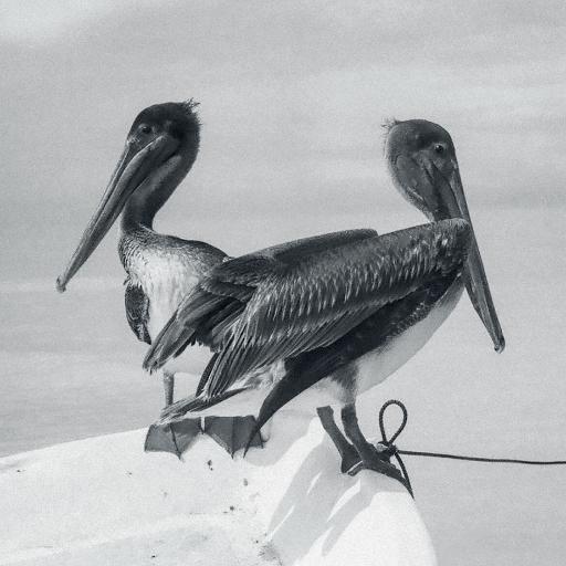 [ECD-2020127] Blink And You Miss It (CD)