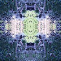 [FR-115LPB] Kastoin Sulkaa Kuulla (LP)