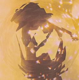 [INDIE194DVDLTD] Years In A Day (DVD+2CD 10" sleeves)