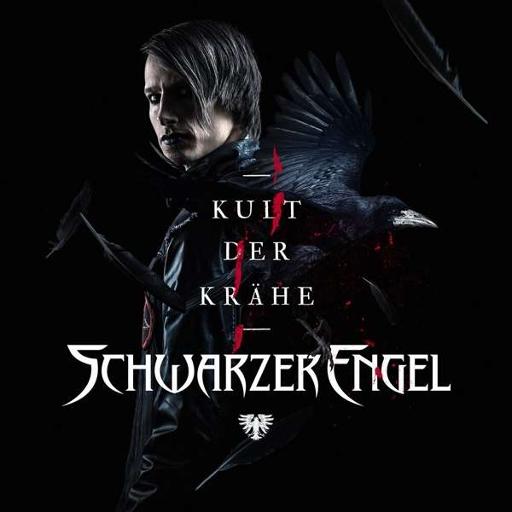 [MASLP1012] Kult Der Krähe (LP)